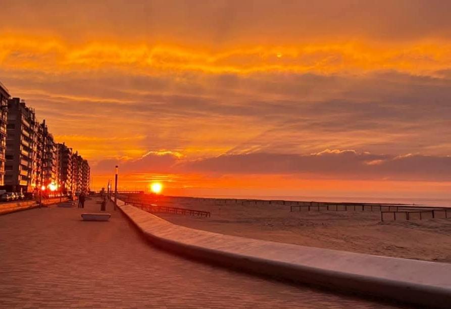 Studio Amor Op Het Gelijkvloers Met Tuintje Nabij Strand De Haan Luaran gambar